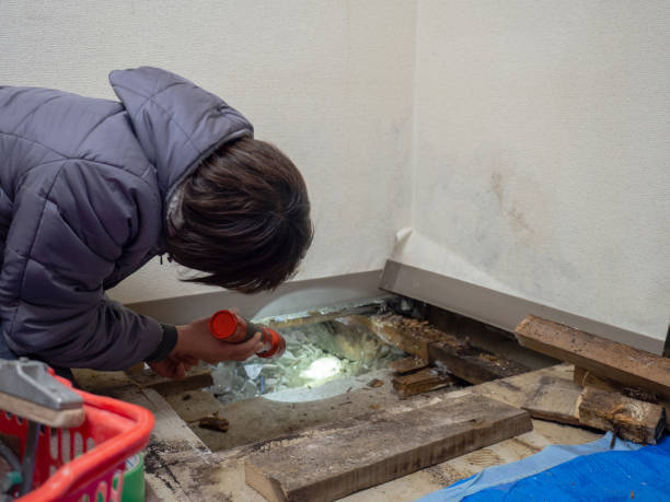 Best Mold Remediation for Rental Properties  in Moonachie, NJ